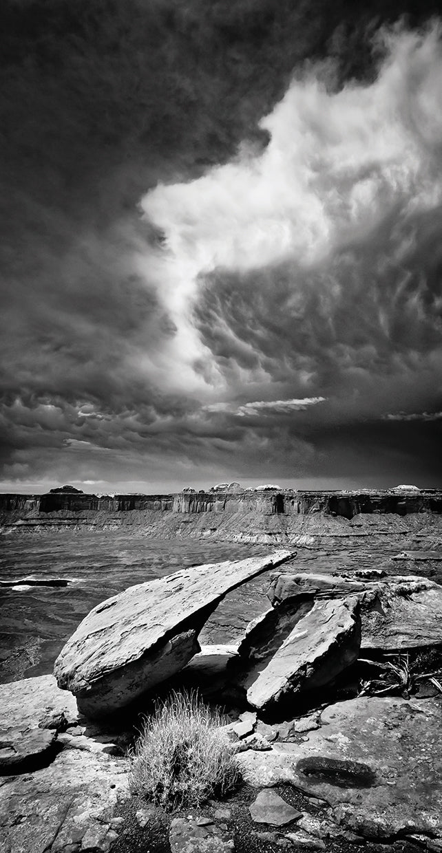 desert-mood-dan-ballard