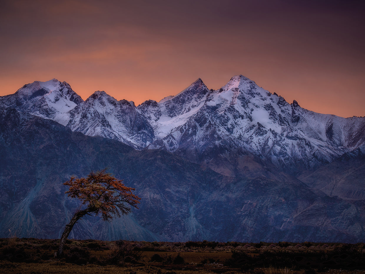 Tree and the Mountain