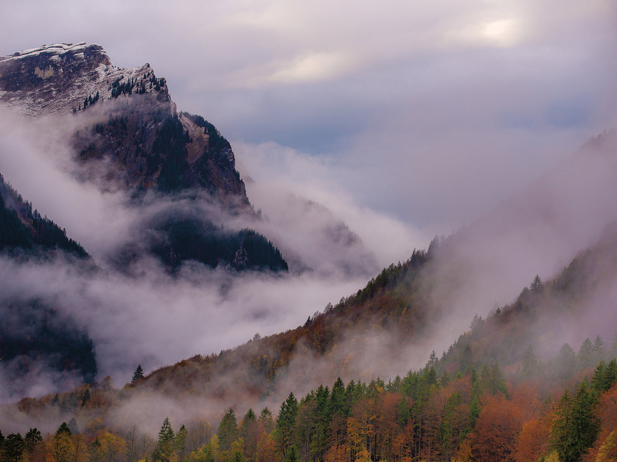 Mountain Fog