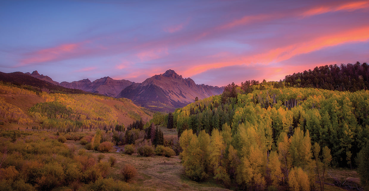 Foliage Sunset