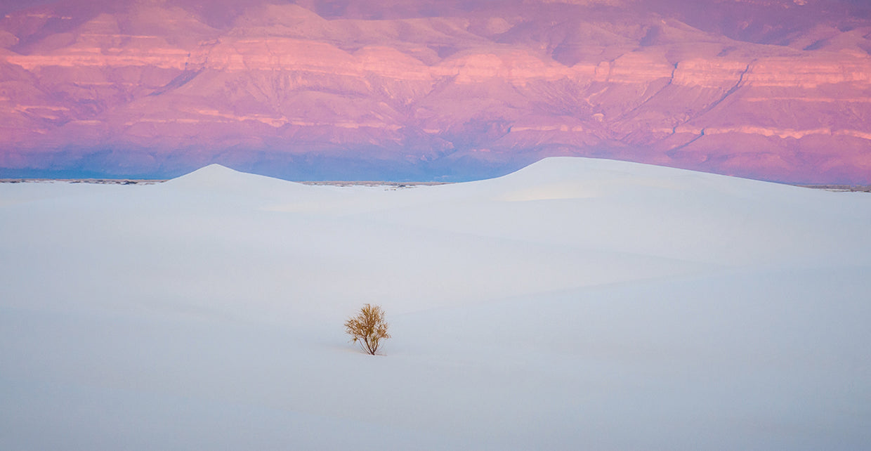 Salt Dunes