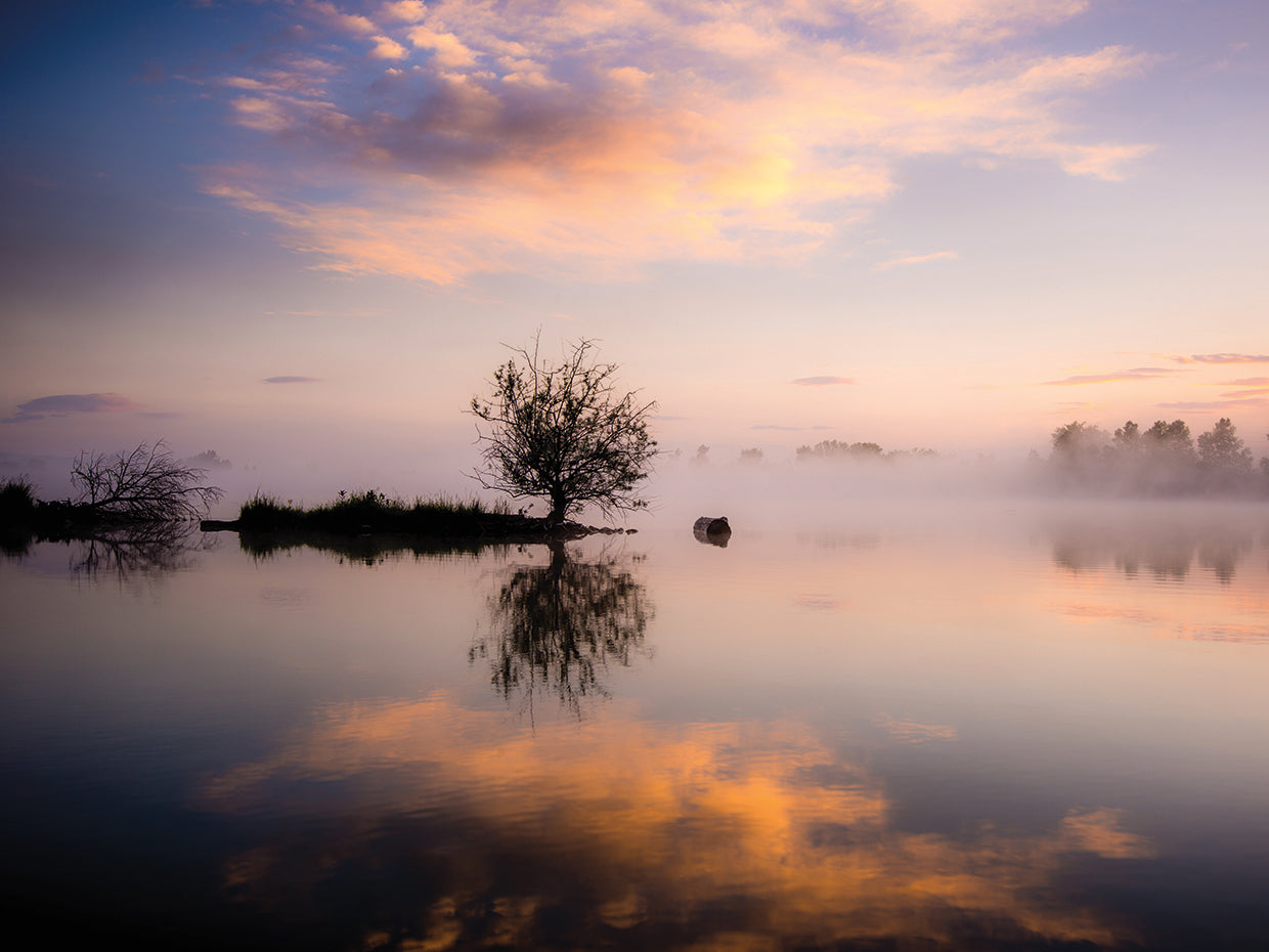 Evening Reflections