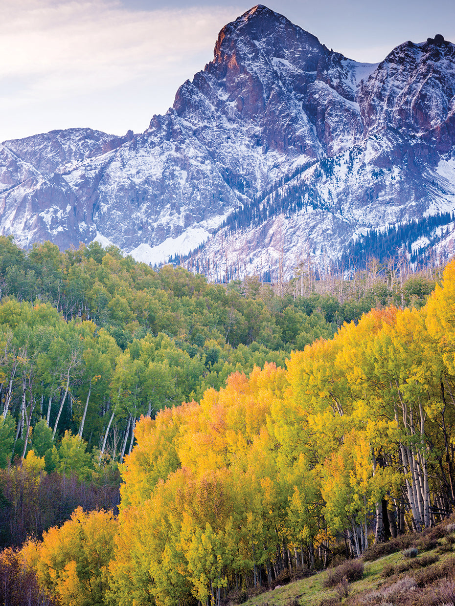 Mountain Foliage 03