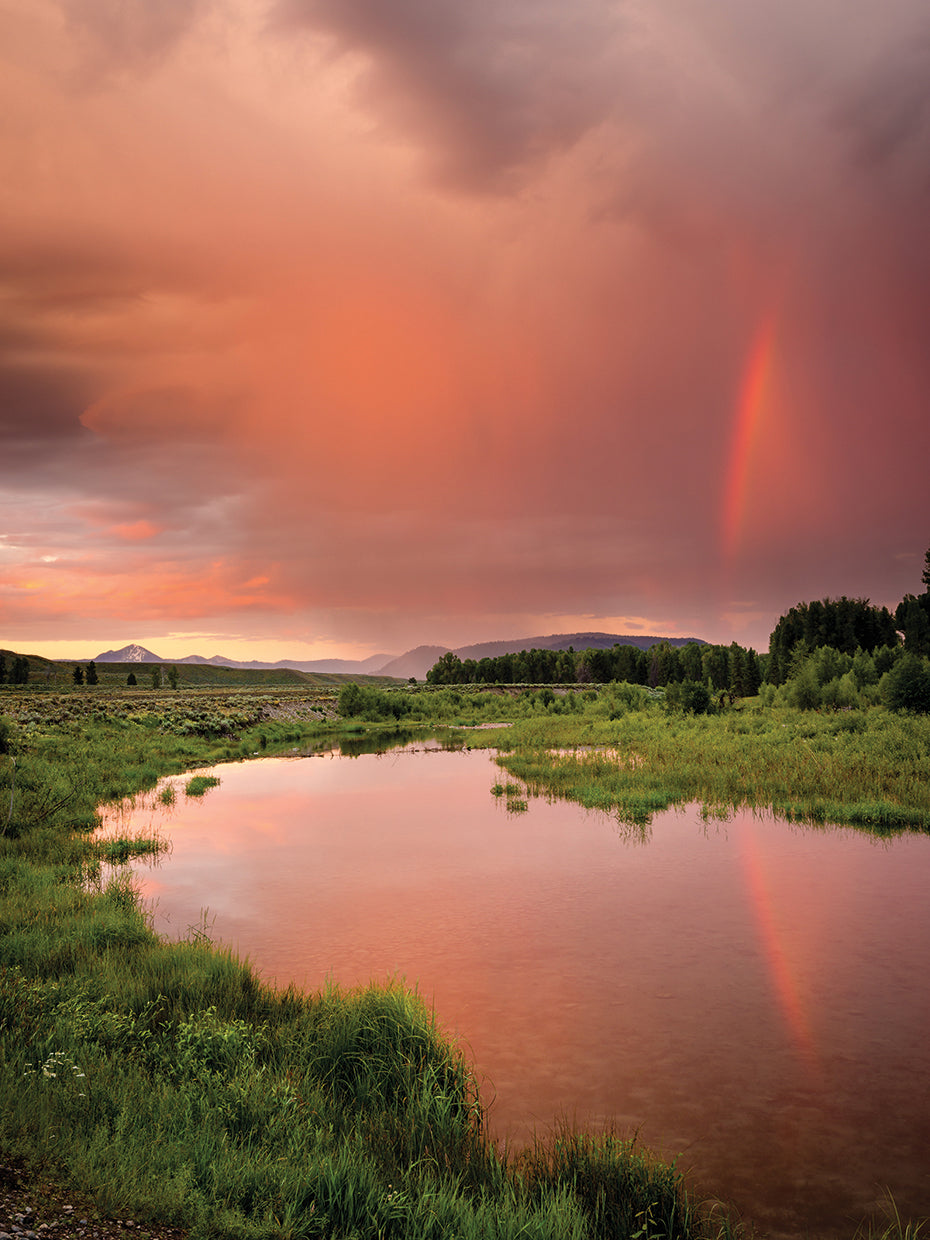 Rainbow Reflection