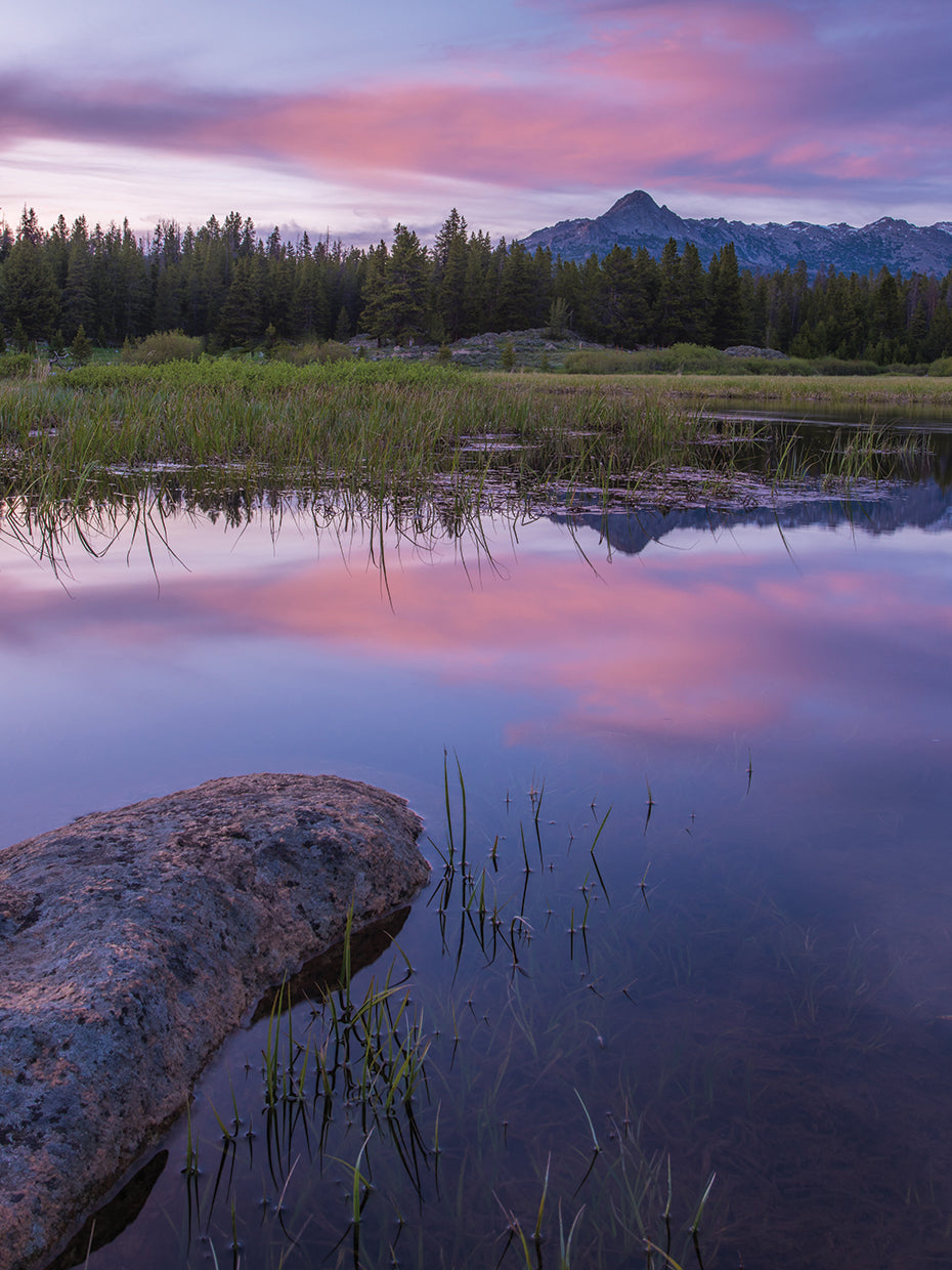 Lake Reflections