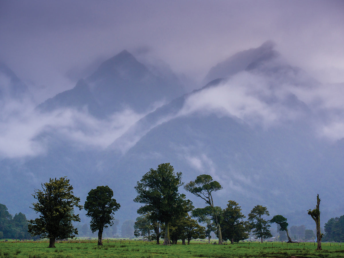 Mountains in the Midst