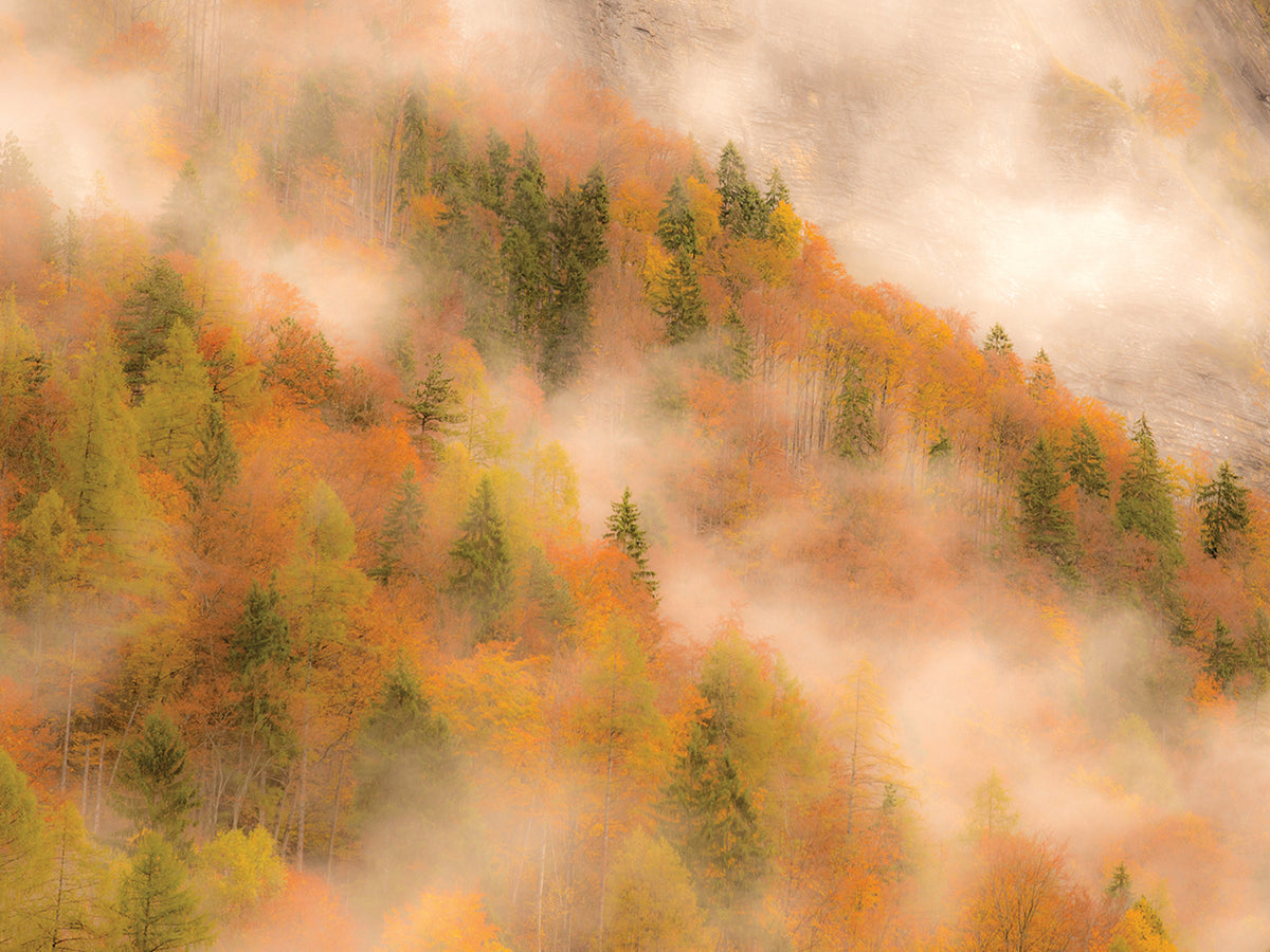 Fogged Mountain