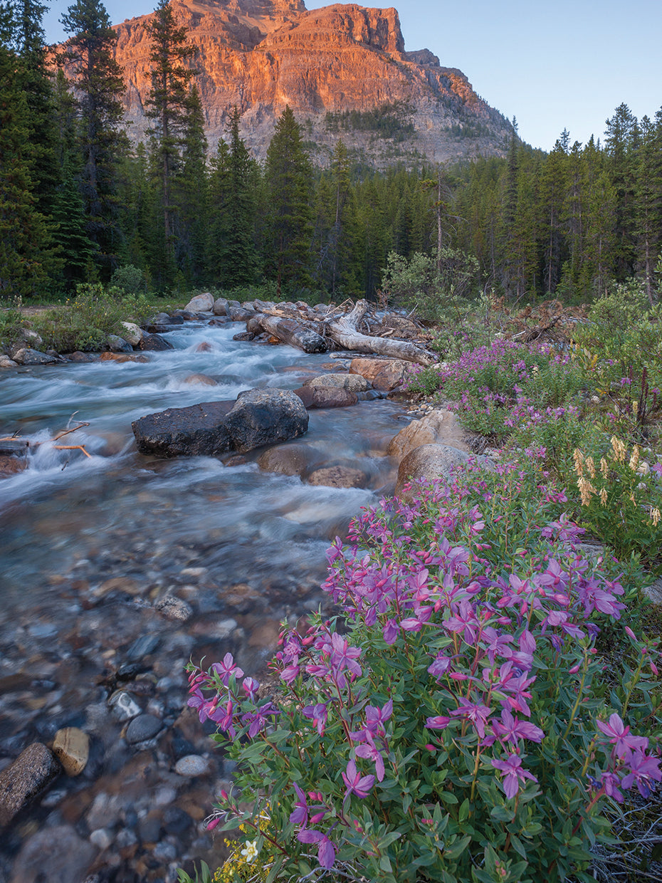 Flowery River