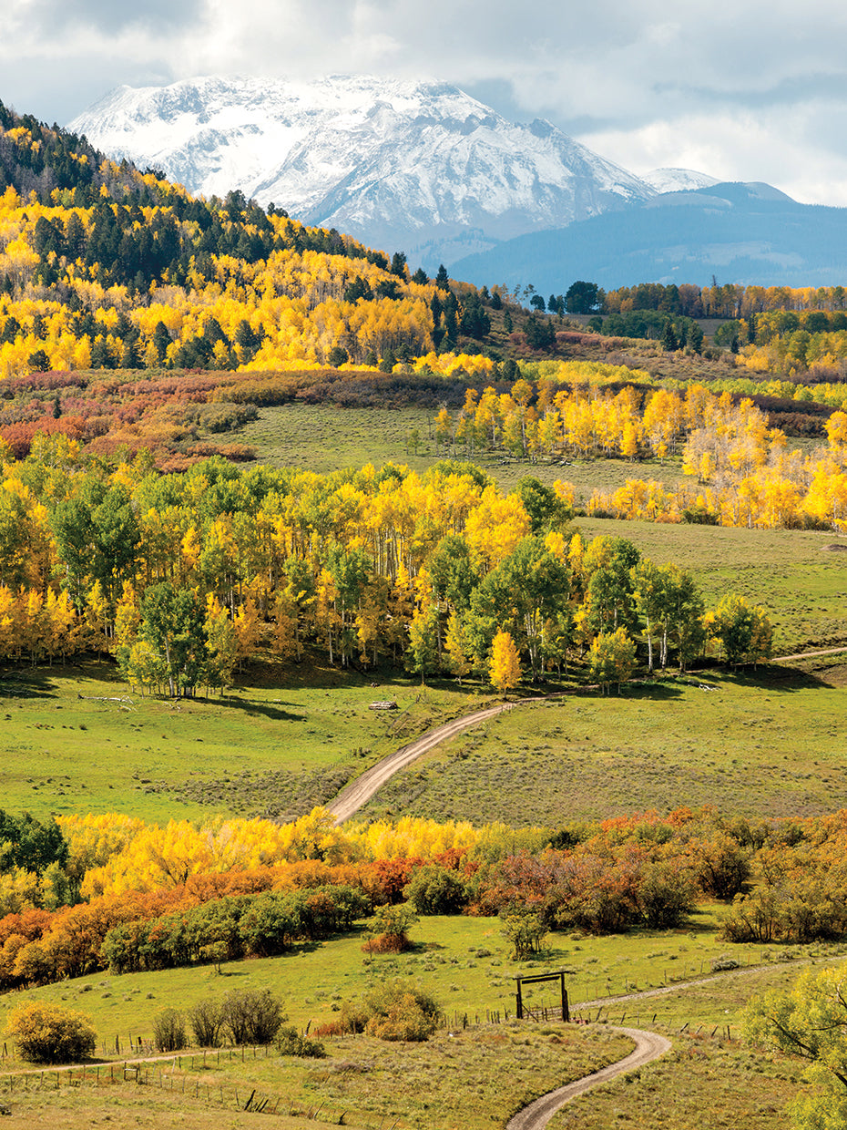Foliage Hills