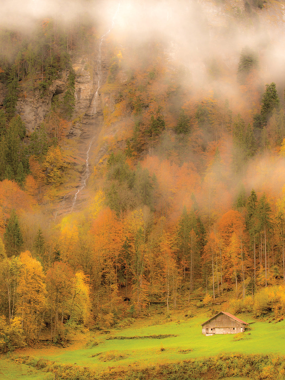 Autumn Steam 2