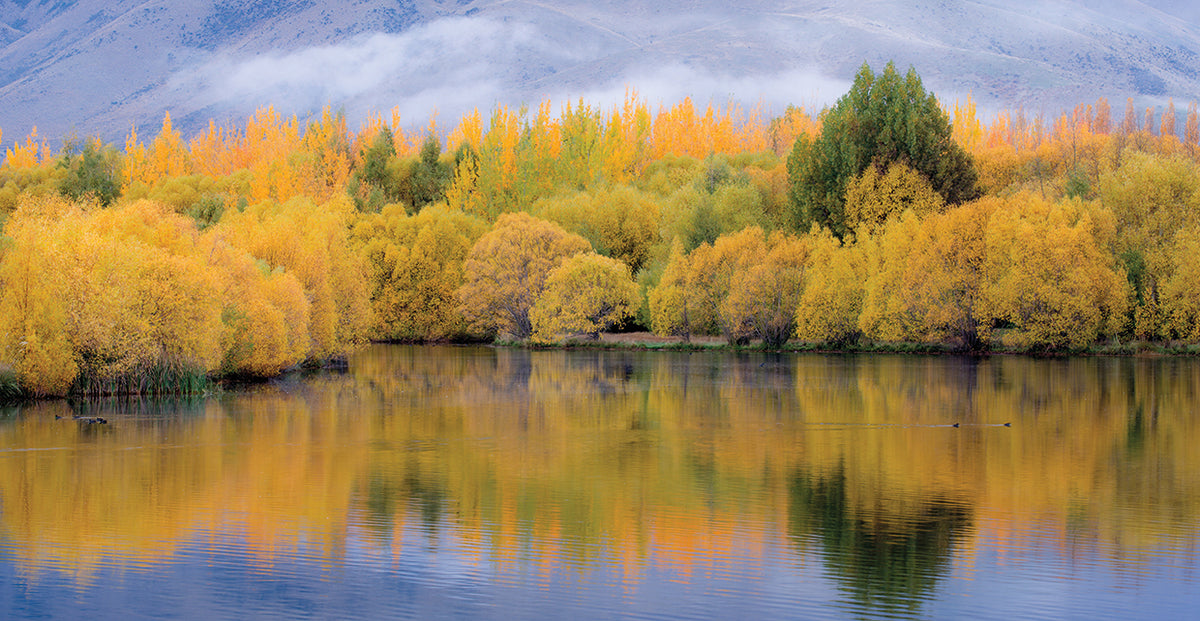 Autumn Reflection