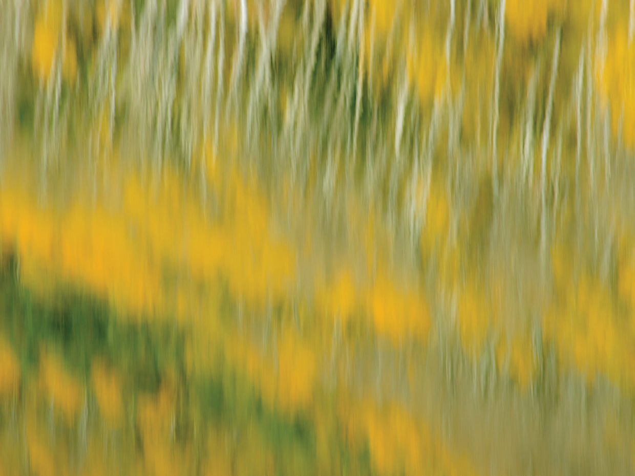 Ripple 3