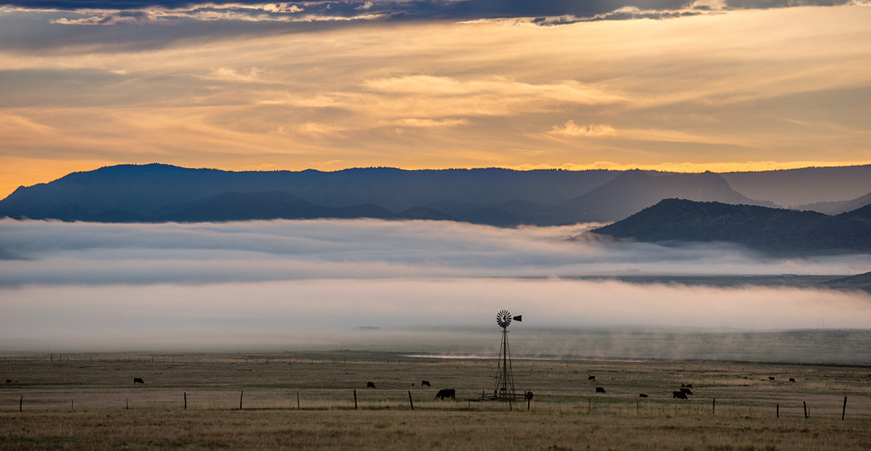 Fog Lift