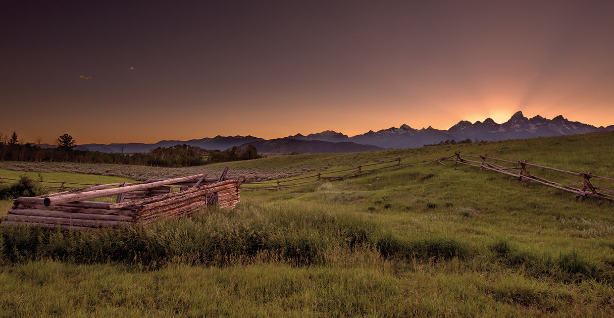Cabin Ruins