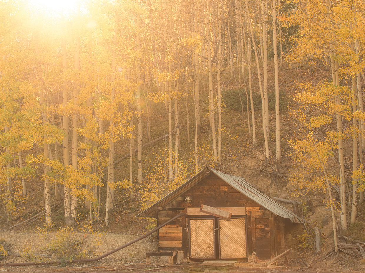 Sunset Cabin