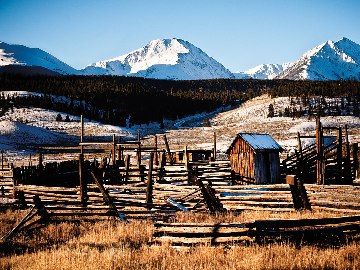 Snowy Corral