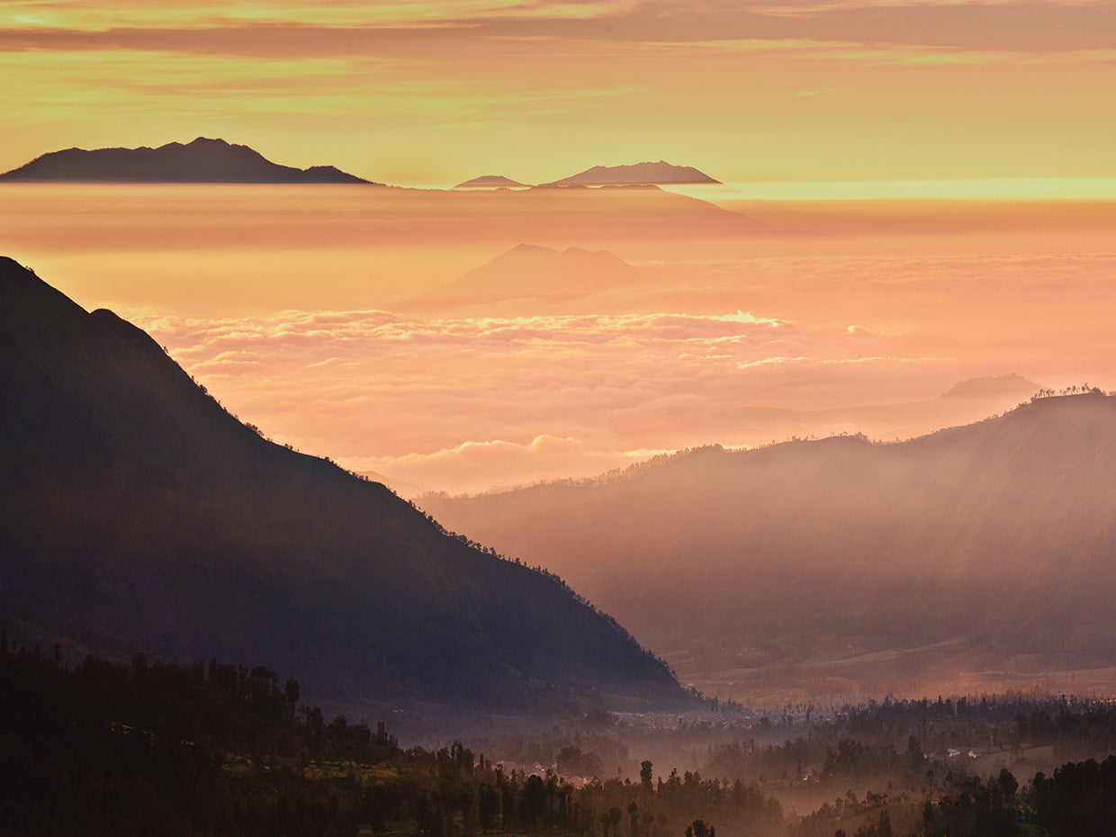 Fog Mountains