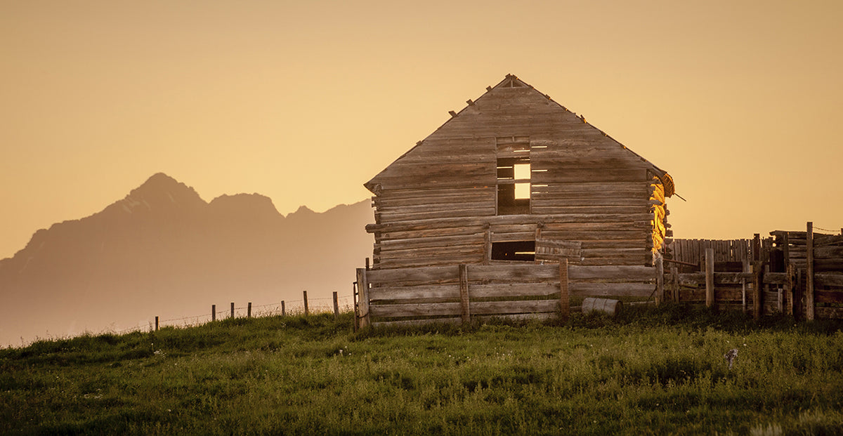 Barn Ruins 2