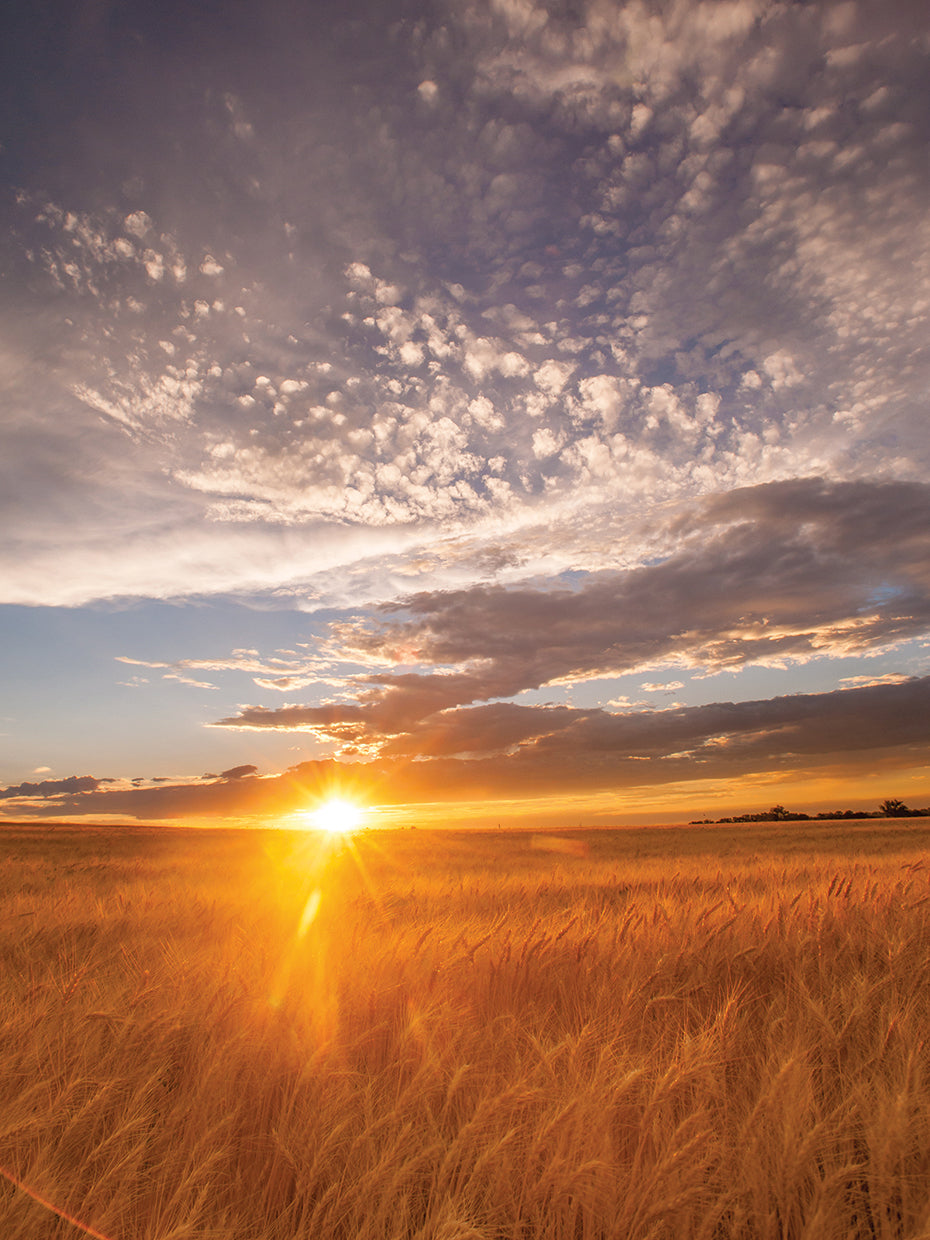 Horizon Sunrise