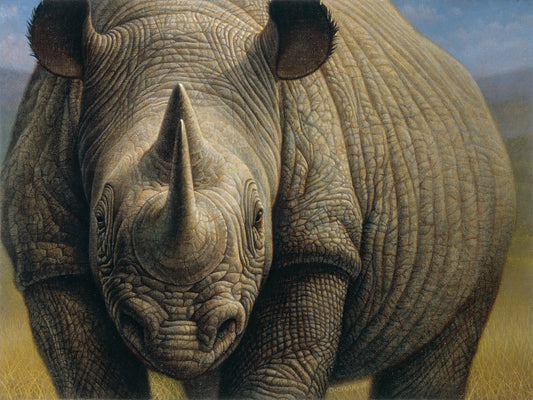 Rhinos Canvas Art