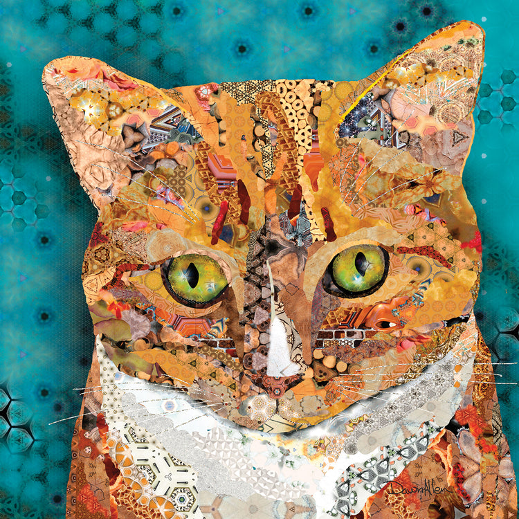 Tabby naranja Lienzo