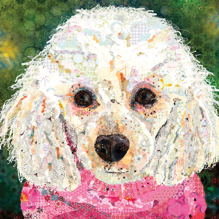 Caniche Lienzo