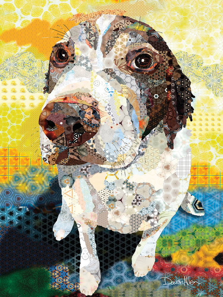 Perro de aguas Lienzo
