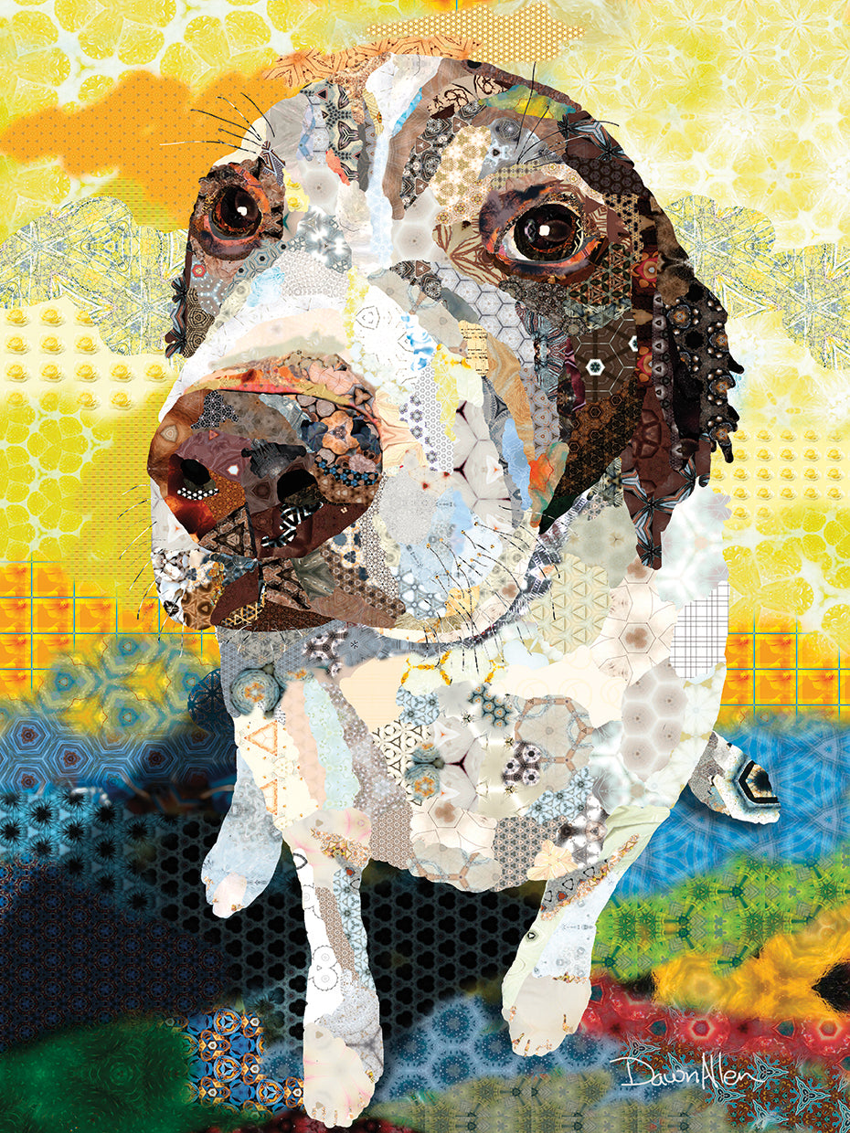 Perro de aguas Lienzo