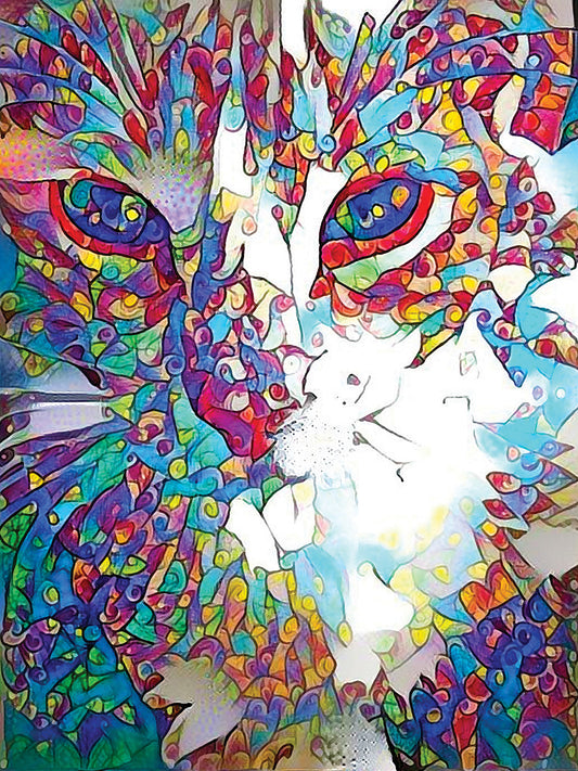 Rainbow Cat 8 Canvas Art