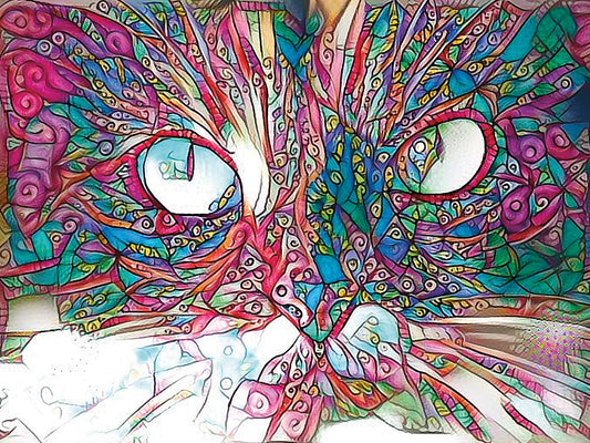 Rainbow Cat 11