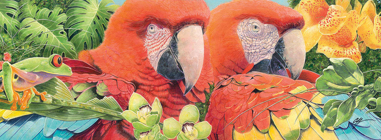 Scarlet Macaws