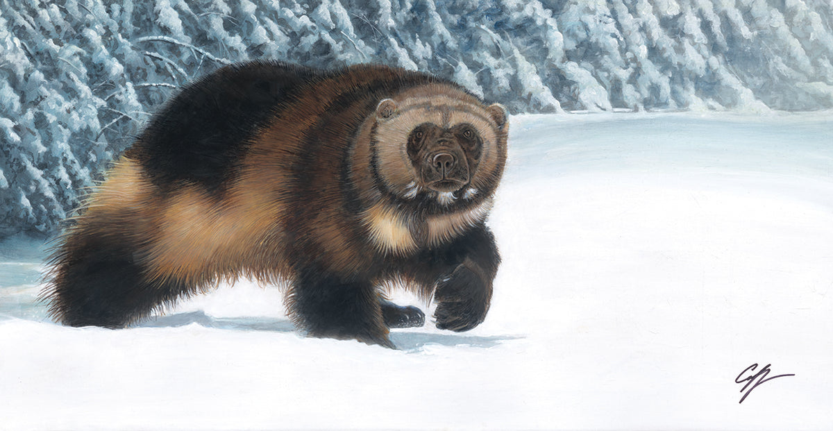 Wolverine