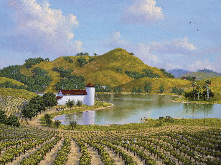 Arte de la lona del valle de Napa