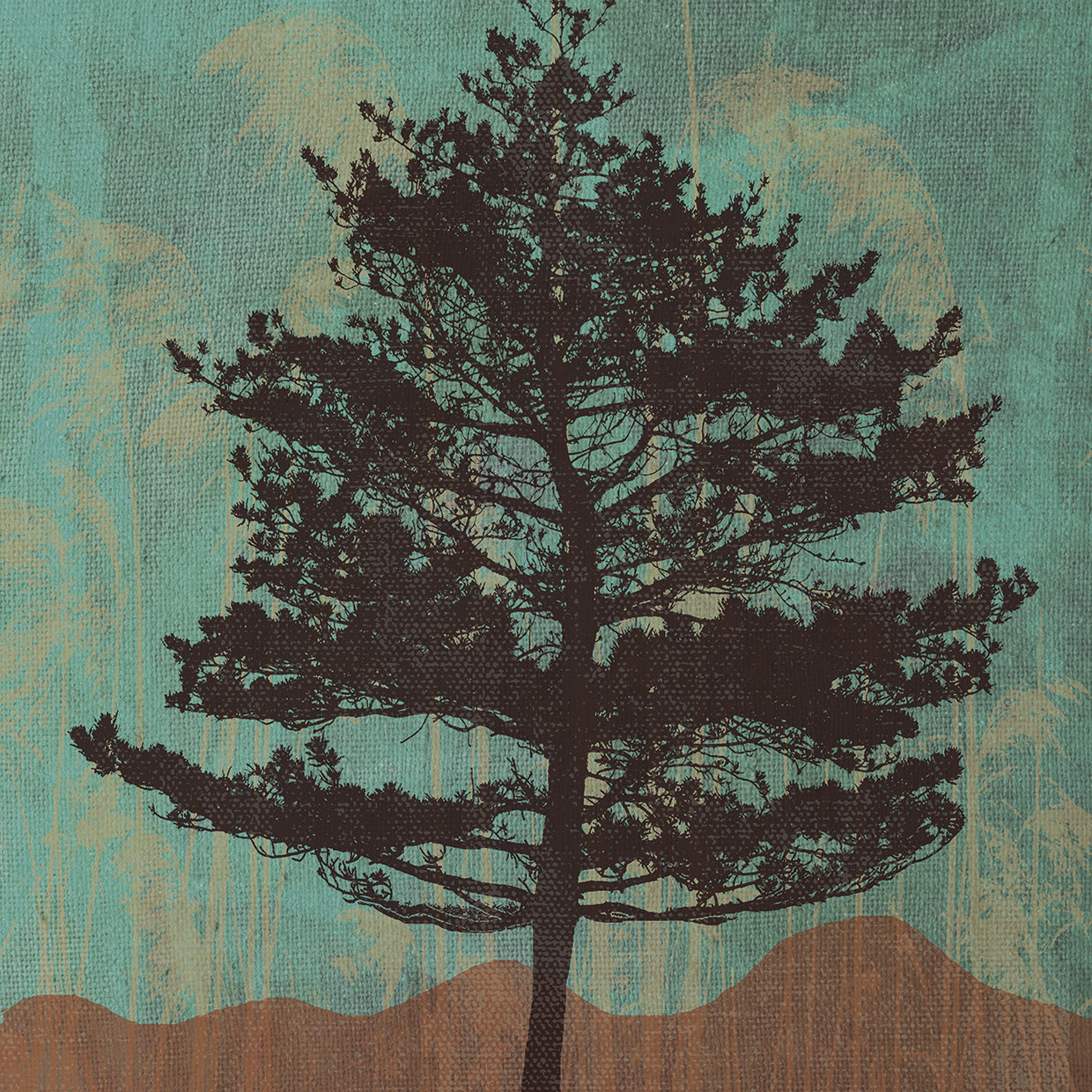 Evergreen