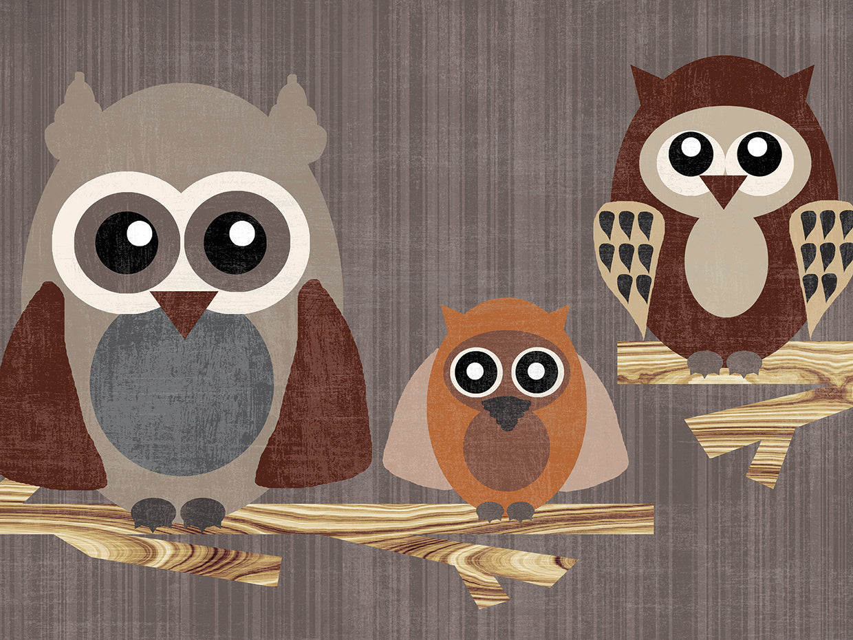 Owls