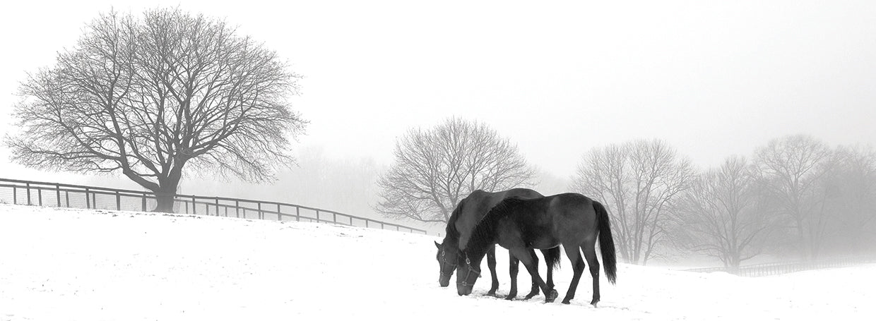 Grazing Pair