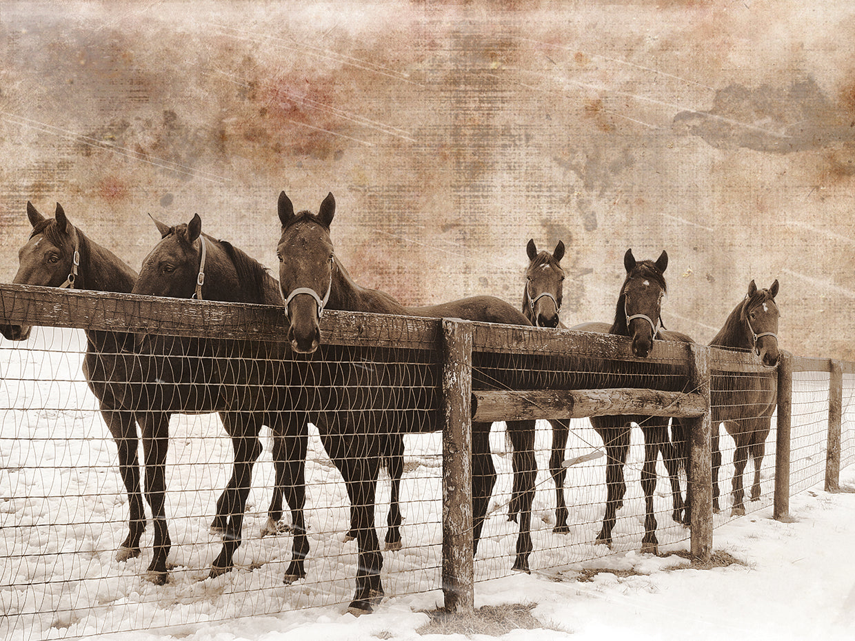 6 Faces Vintage