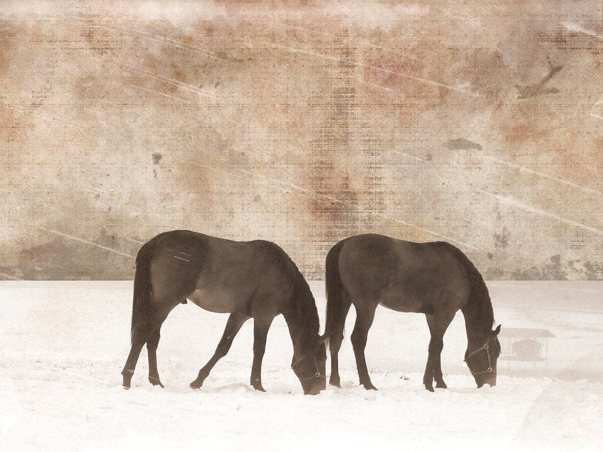 Grazing Pair