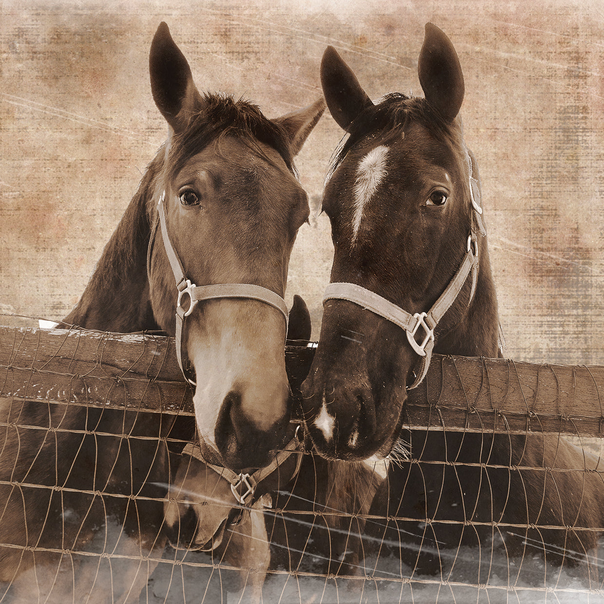 Trio Vintage