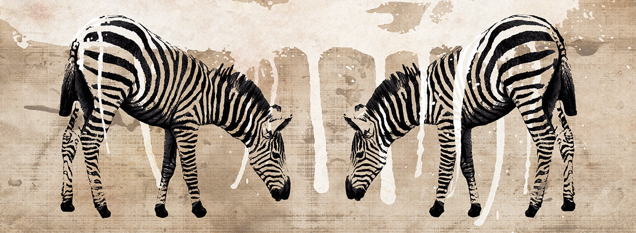Two Zebras