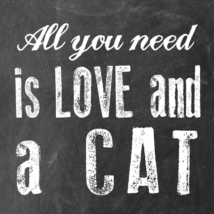 All You Need Cat