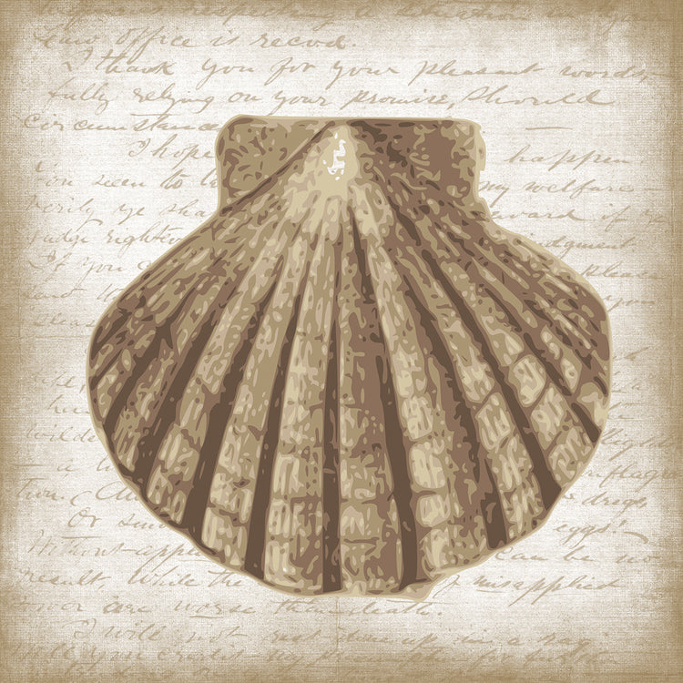 Shell I