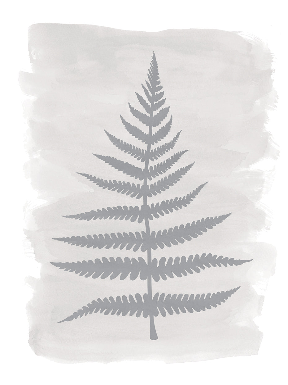 Fern 1