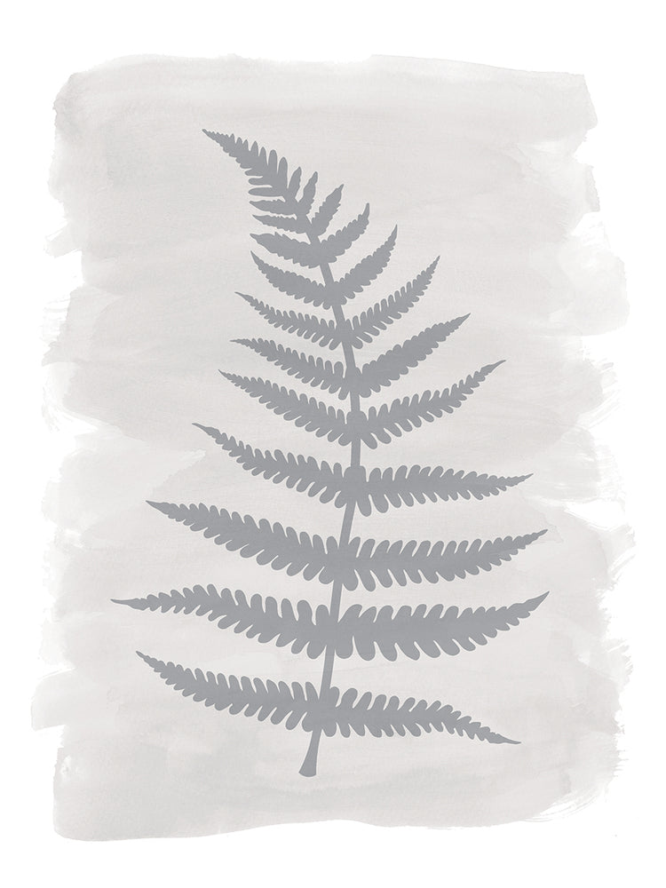 Fern 2