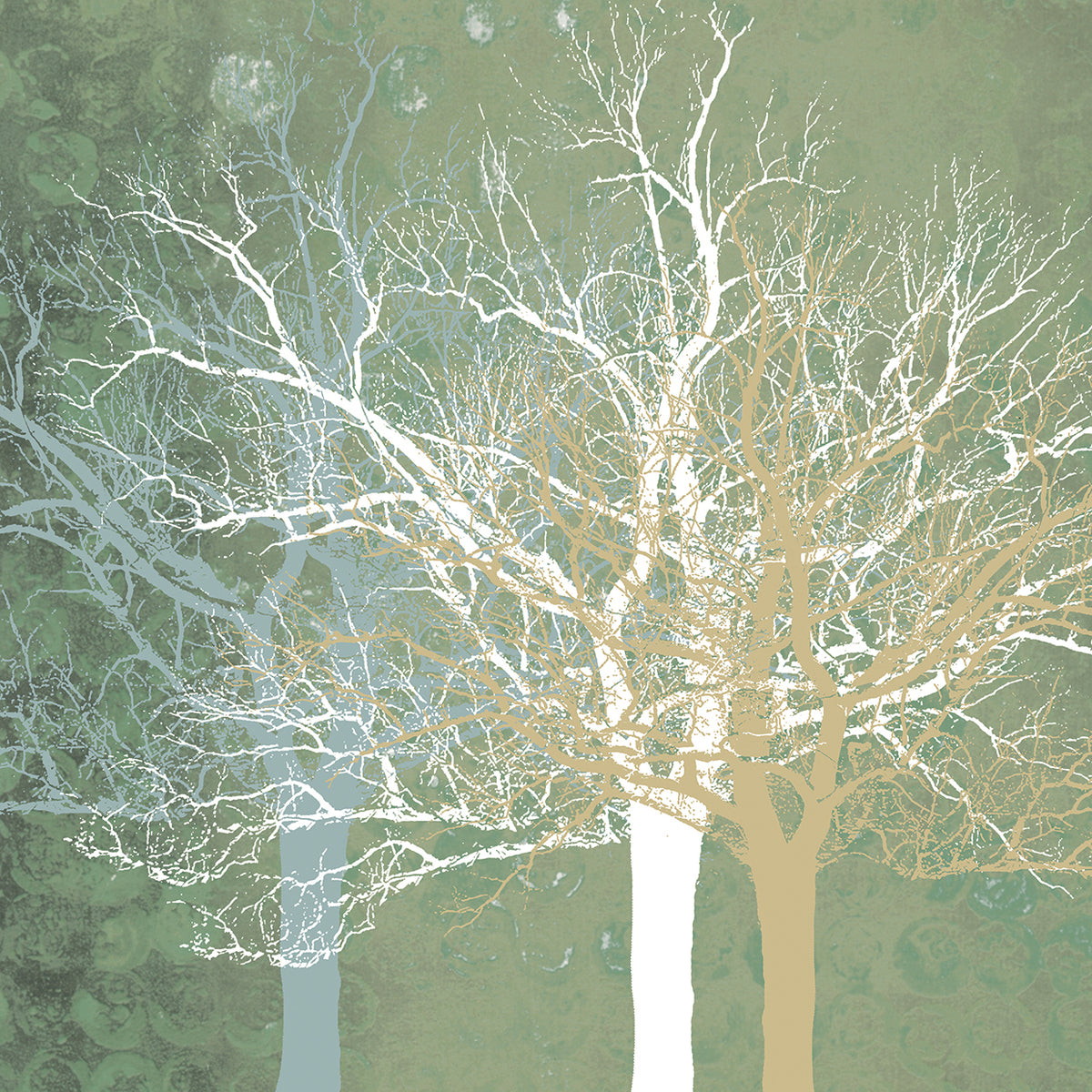 Quiet Forest