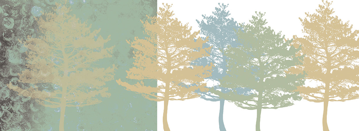 A Whisper Through the Trees