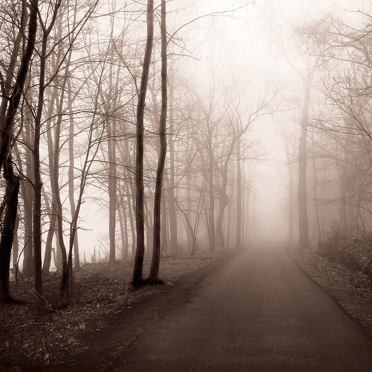 Foggy Path