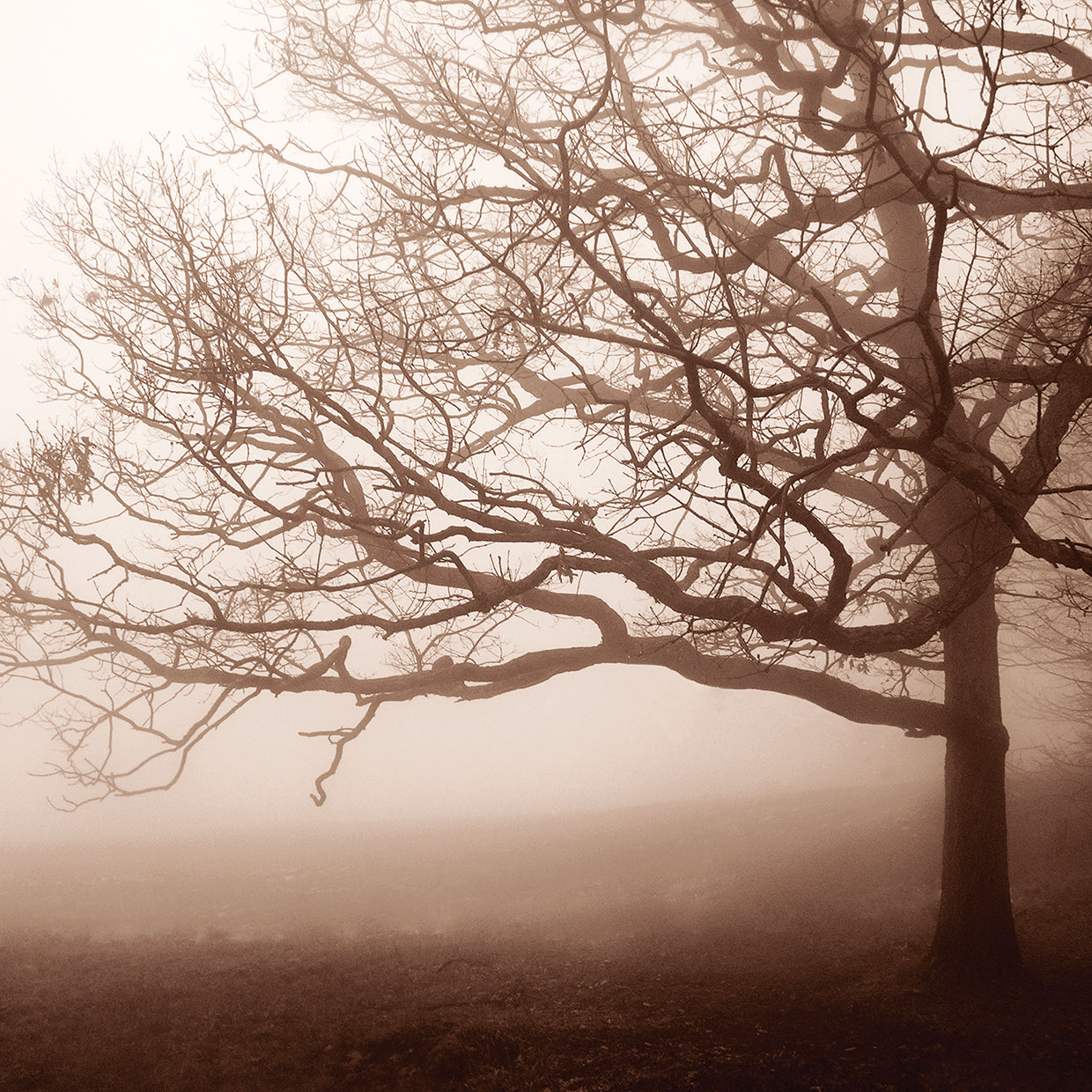 Silence