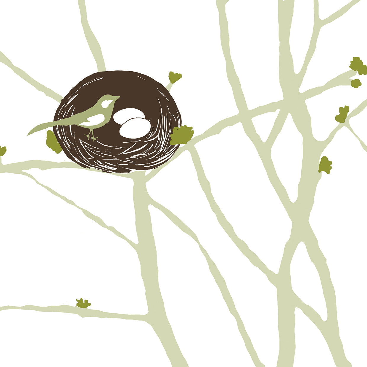Feathers and Twigs