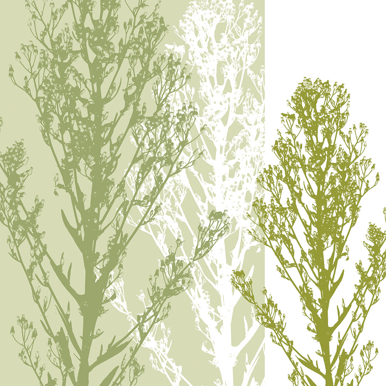 Gossamer Greens